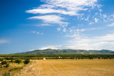 Doğa, İspanya