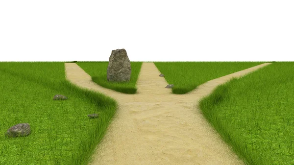Divaricação no campo verde perto da pedra enorme — Fotografia de Stock