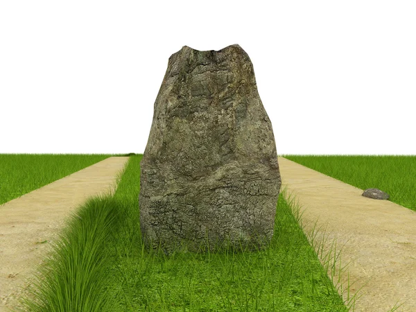 Divarication at green field near the huge stone — Stock Photo, Image