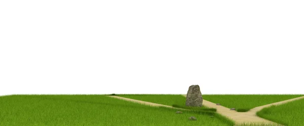 Divarication på gröna fält nära den stora stenen — Stockfoto