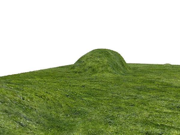 Green Grass Hills — Stock Photo, Image