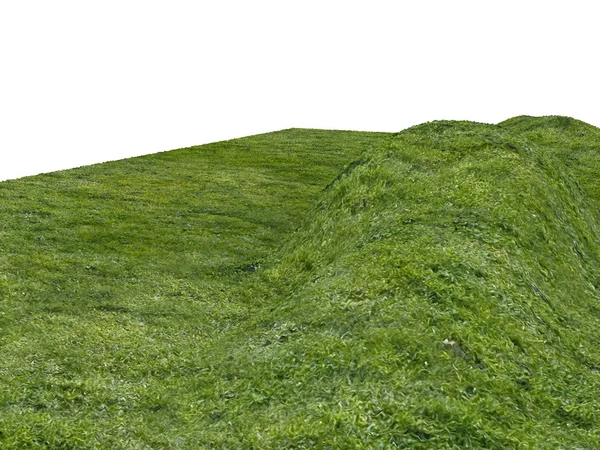 Grønne græsbakker - Stock-foto