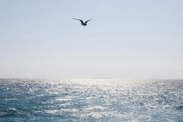 Röda havet på sommaren — Stockfoto