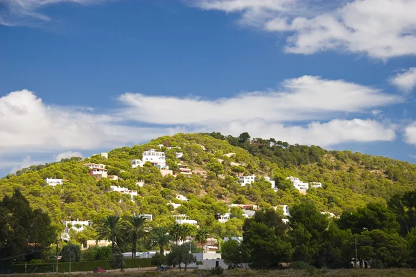 stock image Nature of Ibiza, Spain