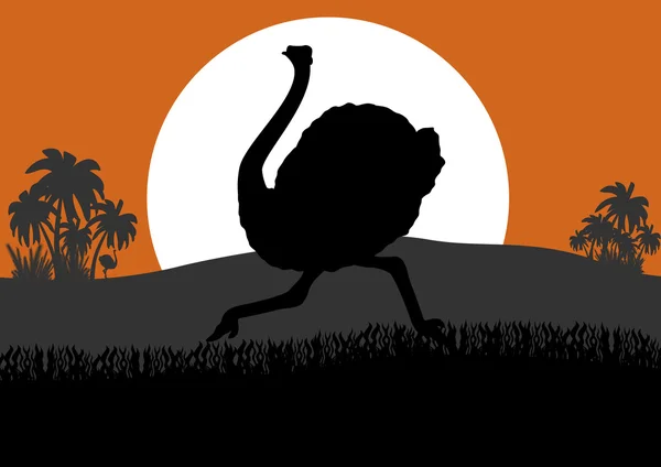 Courir l'autruche — Image vectorielle