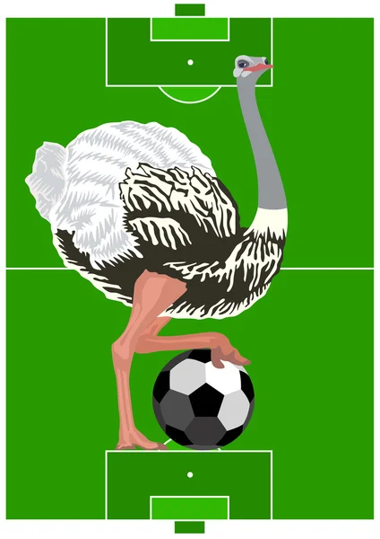 鸵鸟与足球球 — 图库矢量图片