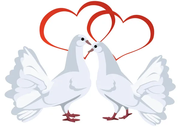 Dos palomas blancas y corazones — Vector de stock