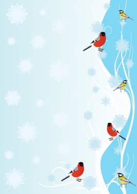 Winter birds clipart