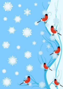 Bullfinch on the branch clipart