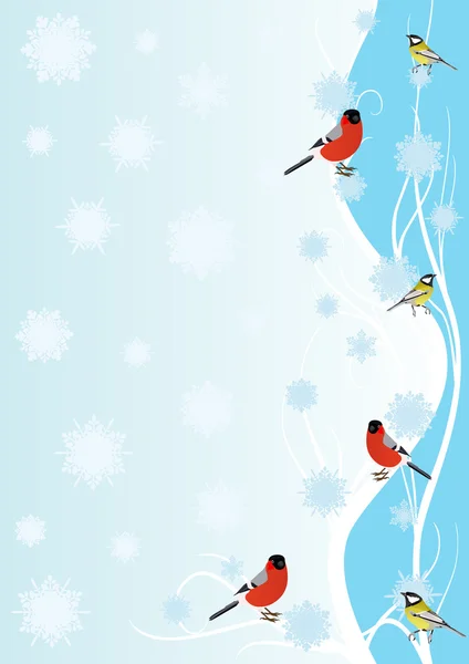 Aves de invierno — Vector de stock