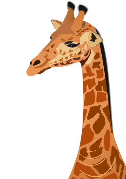 Girafa — Vetor de Stock