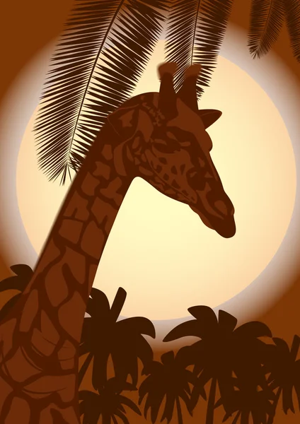Giraffe en een nacht landschap — Stockvector