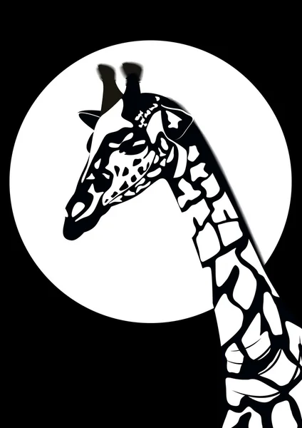 Schwarze und weiße Giraffe — Stockvektor