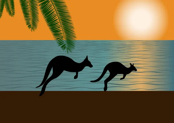 オーストラリアの海岸 — ストックベクタ