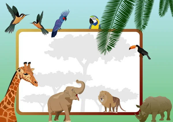动物和鸟类 — 图库矢量图片
