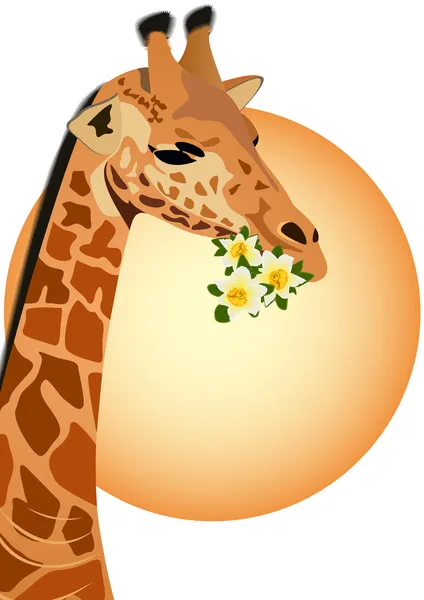 Giraffe met bloemen — Stockvector