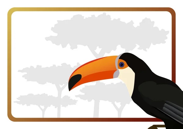 Toucan — Image vectorielle