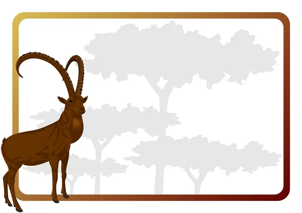 Chèvre de montagne — Image vectorielle