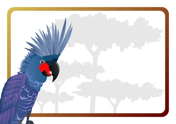 Kakadu — Image vectorielle