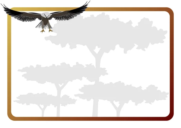 Águila voladora — Archivo Imágenes Vectoriales