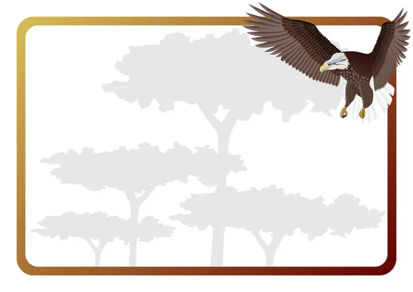 Un águila — Archivo Imágenes Vectoriales