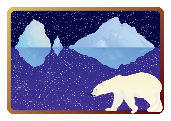 Πολική αρκούδα — Διανυσματικό Αρχείο