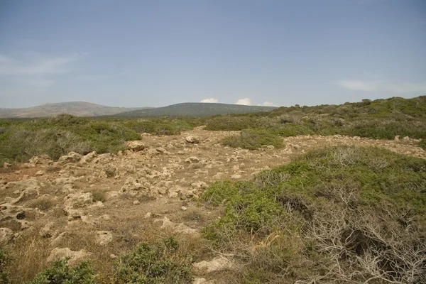 Chipre paisagem — Fotografia de Stock