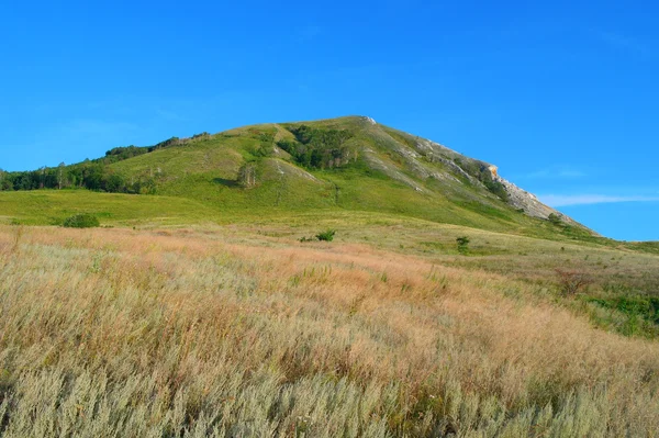 stock image Summer landscape