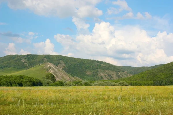 stock image Summer landscape