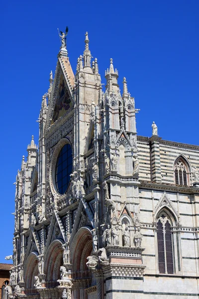 Catedral de Siena — Foto de Stock