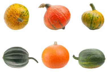 Colourful pumpkins isolated on white background. clipart