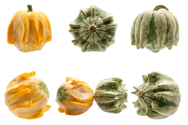 Colourful pumpkins isolated on white background. — Stock Photo, Image