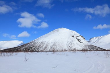 Tundra landscape clipart