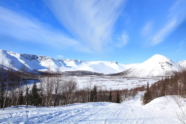 Tundra landskap — Stockfoto
