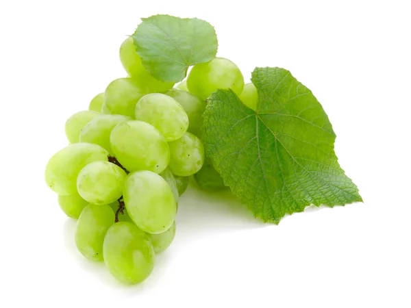 Yeşil üzüm — Stok fotoğraf