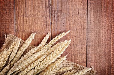 Golden wheat clipart