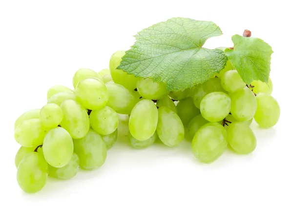 Yeşil üzüm — Stok fotoğraf