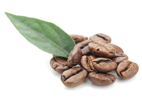 Kávové zrna a list — Stock fotografie
