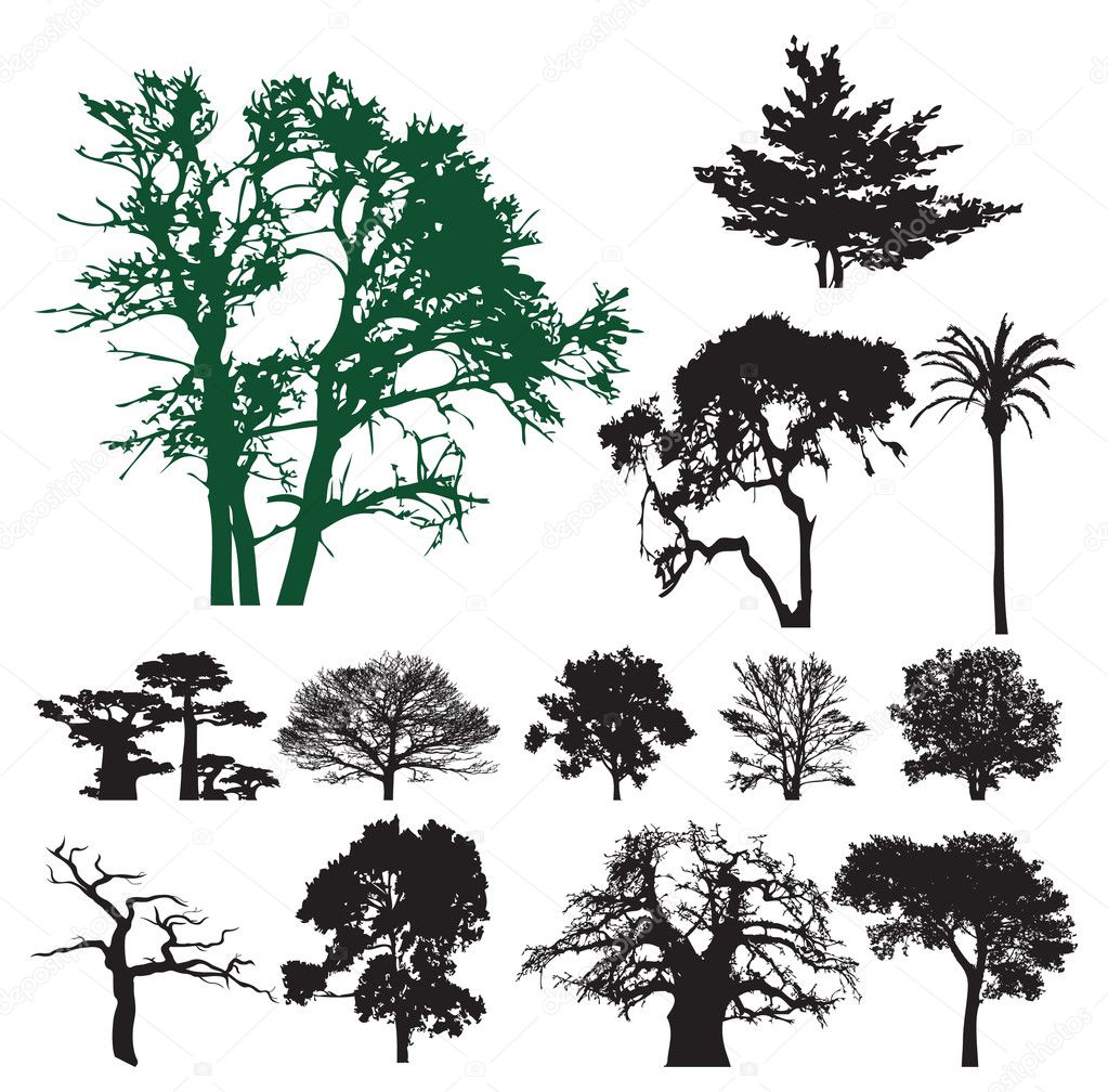 Tree silhouette collection