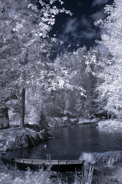 숲의 호수에 오래 된 보트 — 스톡 사진