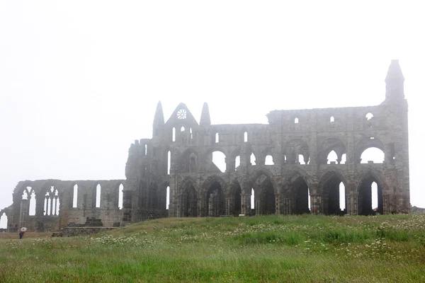 Замок аббатства Уитби в глубоком тумане, разрушенный бенедиктинским аббатством — стоковое фото