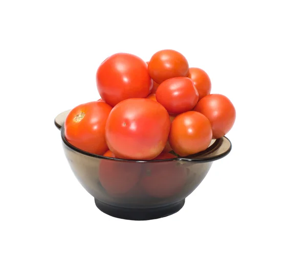 Kırmızı domates. — Stok fotoğraf
