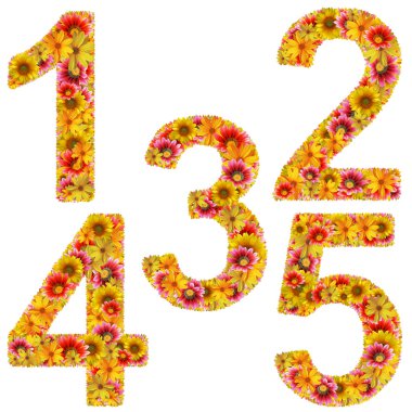 Flower number 1-5 clipart