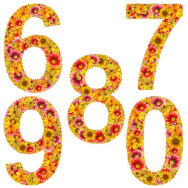 Flower number 6-0 clipart