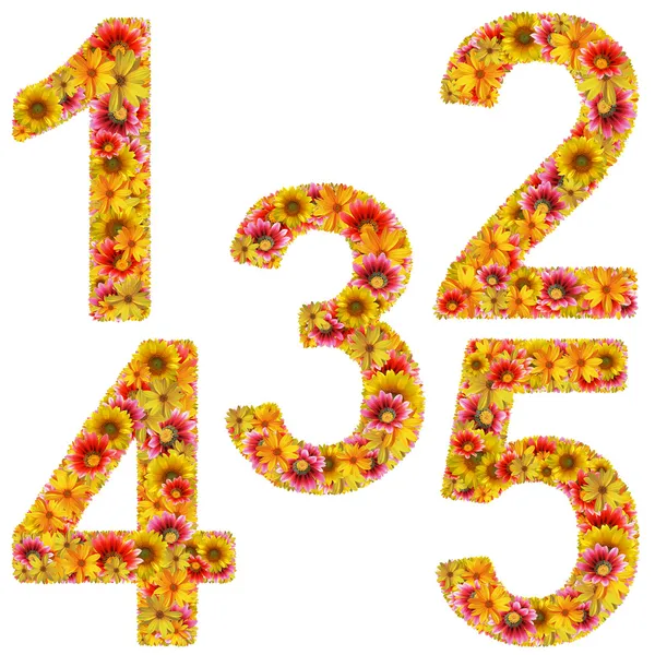 Число цветов 1-5 — стоковое фото