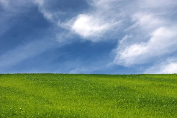 Fältet och sky 2 — Stockfoto