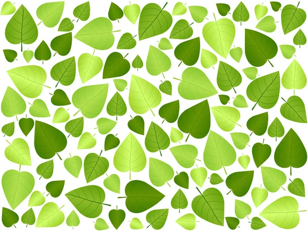 Grünes Blatt Hintergrund 3 — Stockvektor