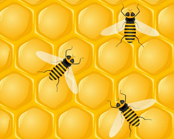 蜂とハニカム構造 — ストックベクタ