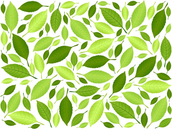 Grünes Blatt Hintergrund 2 — Stockvektor