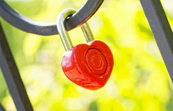 stock image Love Lock